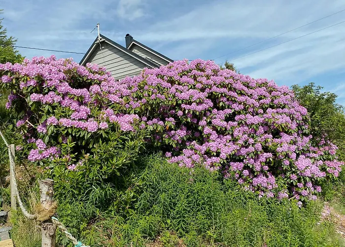 Seaside With Archipelago Views In Radoy Semesterbostad *